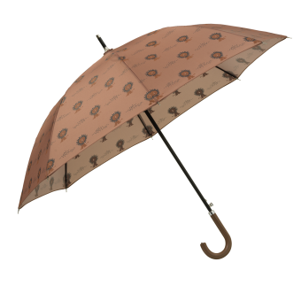 paraplu lion